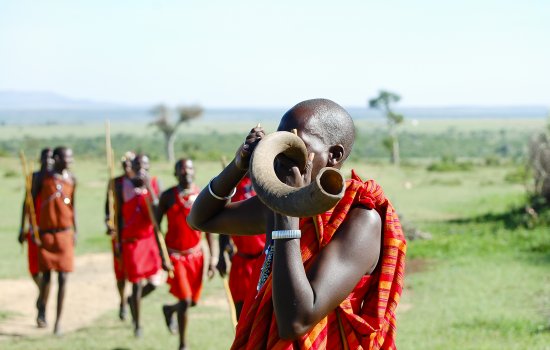 Kenya Safari