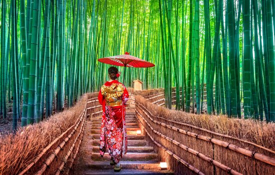 Japan Tours