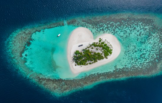 Maldives Honeymoon