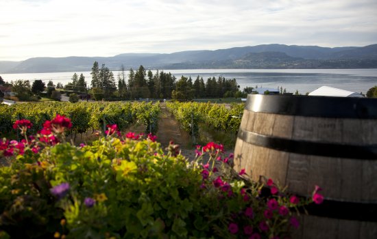 Canada Winery Tour