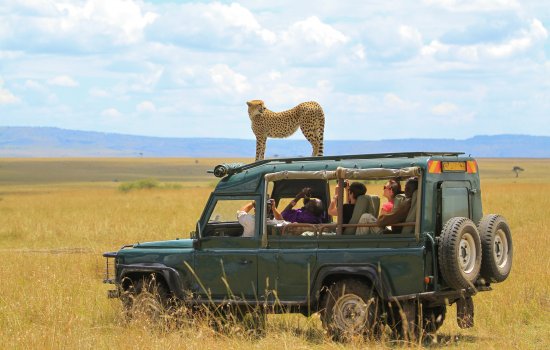 Kenya Safari