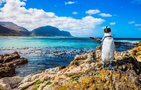South Africa