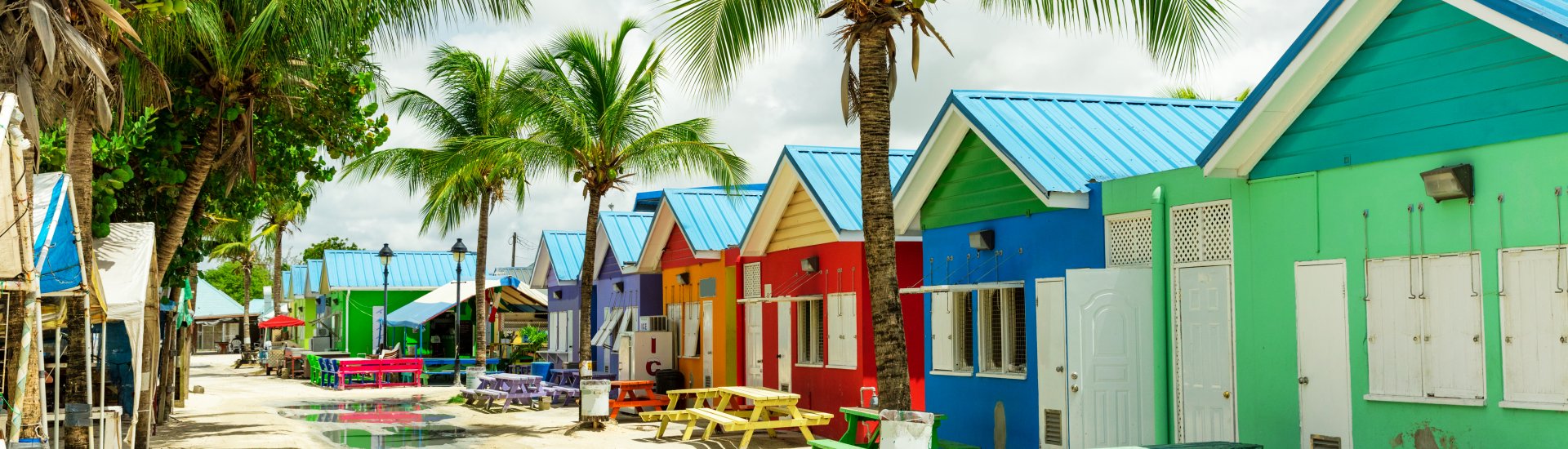 Caribbean Holiday Warriors