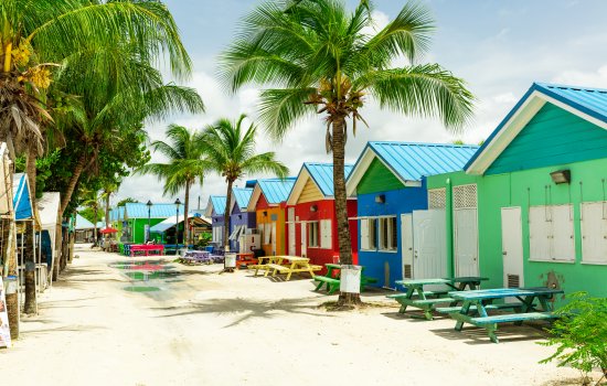 Caribbean Holiday Warriors