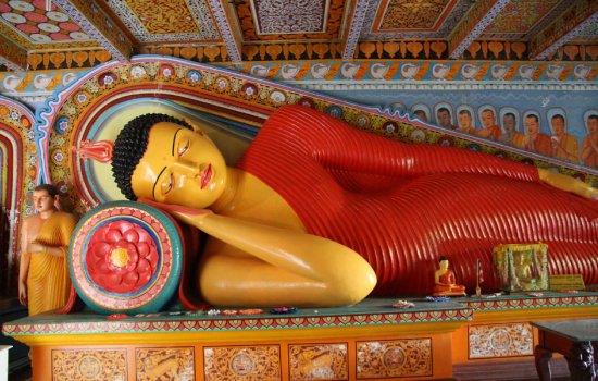 sri-lanka-holiday-warriors