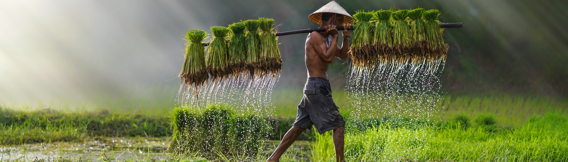 1-vietnam-holiday-warriors