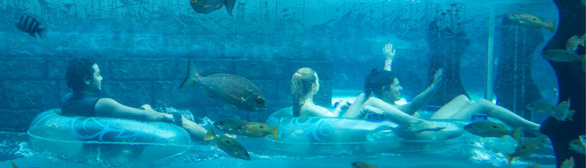 aqua-fun-dubai