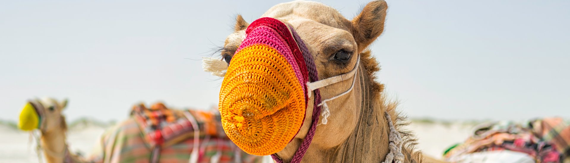 oman-holiday-warriors