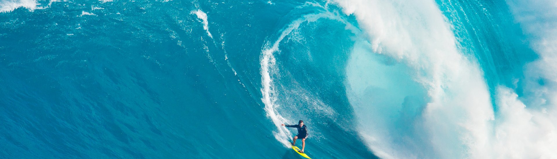 Hawaii Holiday Warriors