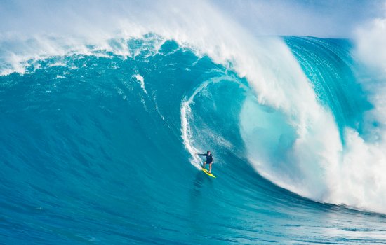 Hawaii Holiday Warriors