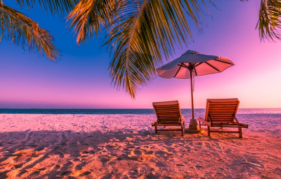 Ultimate Luxury Holiday Warriors