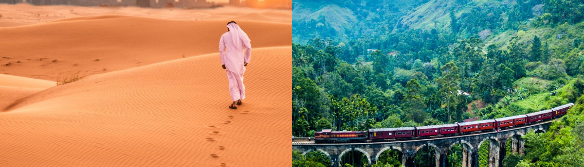 Dubai and Sri Lanka Holiday Warriors