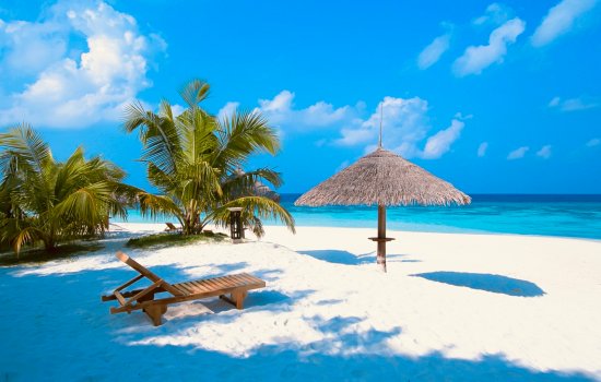 Jamaica Hotels Holiday Warriors