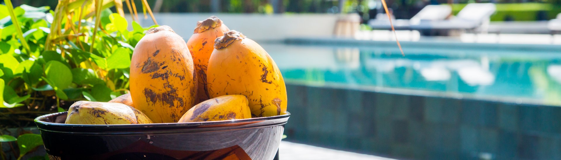 Sri Lanka Hotels Holiday Warriors