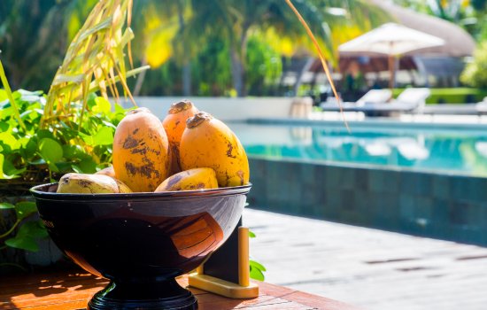 Sri Lanka Hotels Holiday Warriors