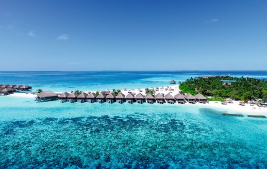 Constance Moofushi Holiday Warriors