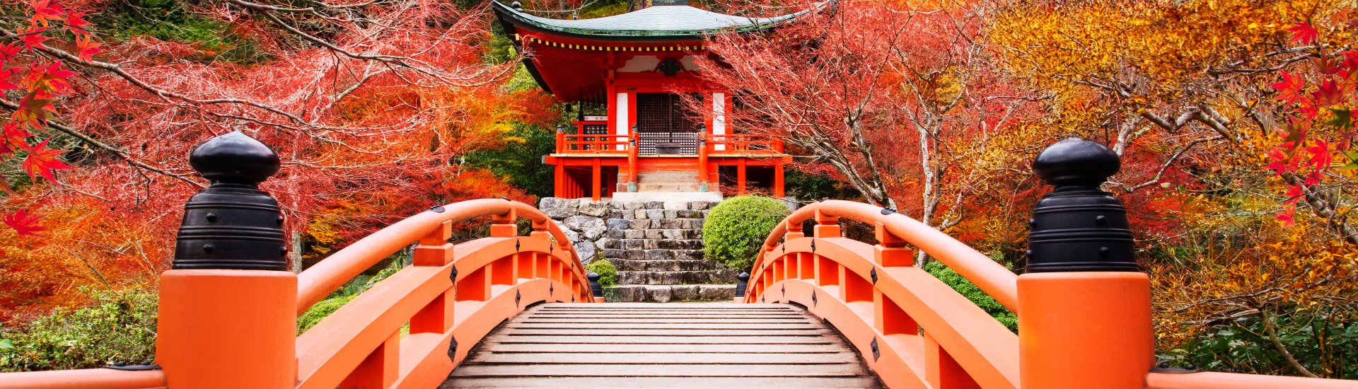 japan-holiday-warriors