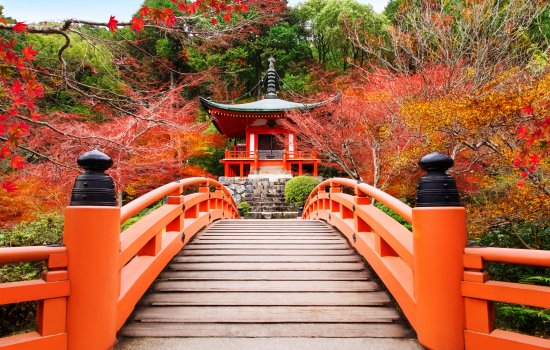 japan-holiday-warriors