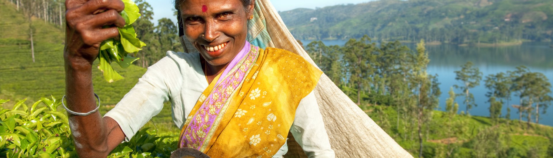 Grand Tour of Sri Lanka Holiday Warriors