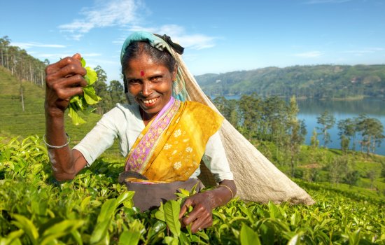 Grand Tour of Sri Lanka Holiday Warriors