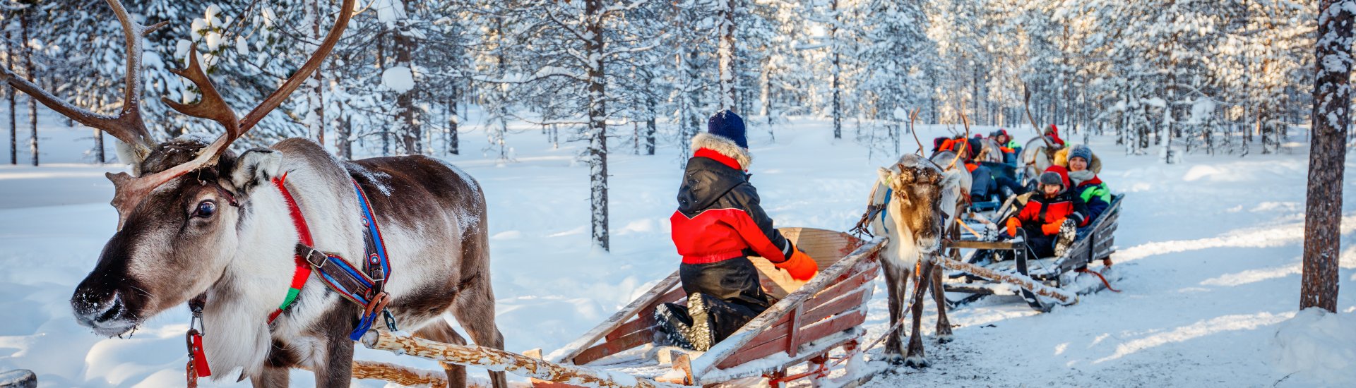 Lapland day trip