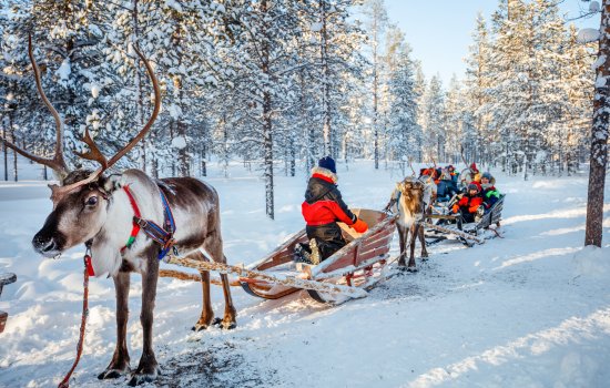 Lapland day trip
