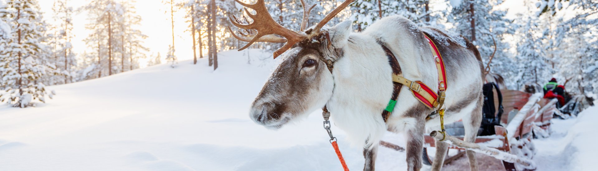 2 Day Lapland